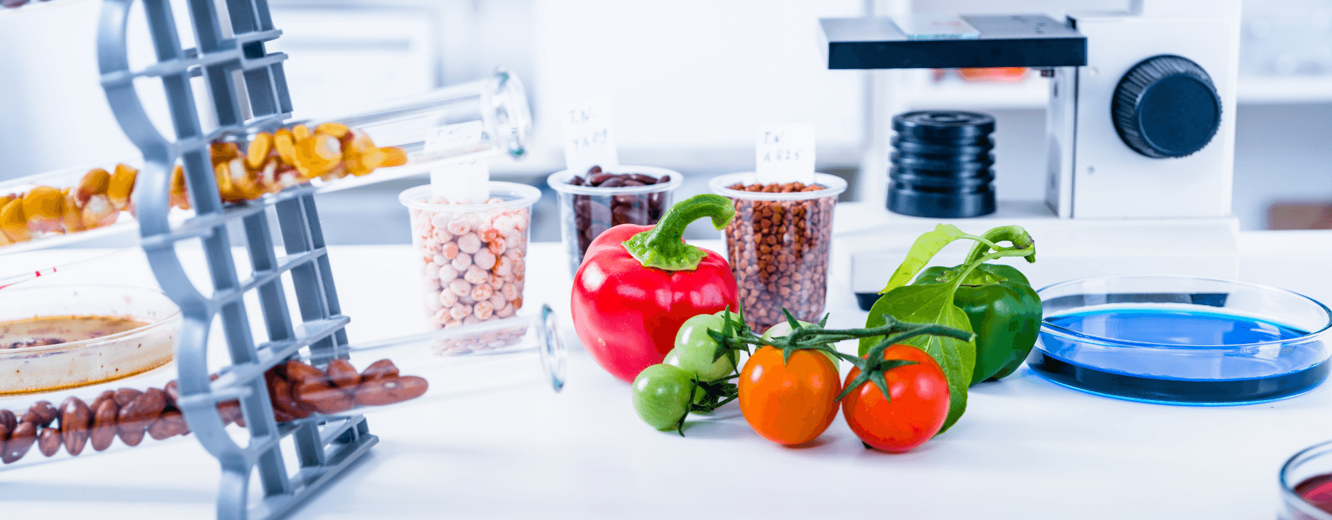 Beyond the Bin: How Food Science is Reshaping Waste into Value