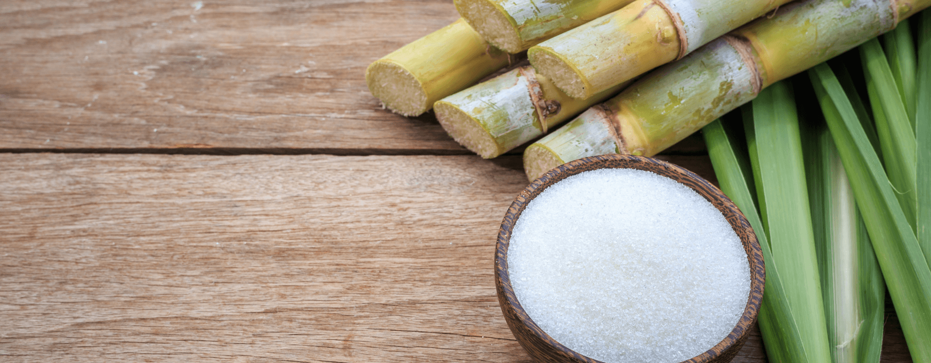 Cane Sugar By-Product: A Cornerstone to Fermentation Biotechnology