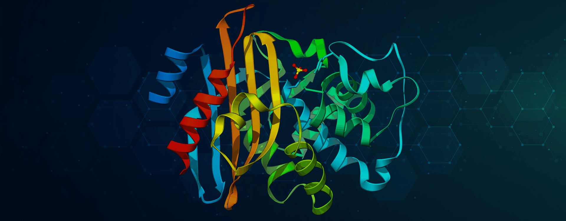 Investigating the Presence of β-Lactamase Genes in UAE’s Marine Environment