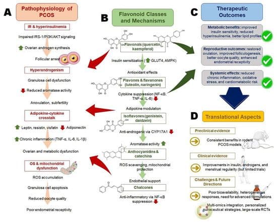 Flavonoids & PCOS: MAHE Dubai researcher features in Q1 journal